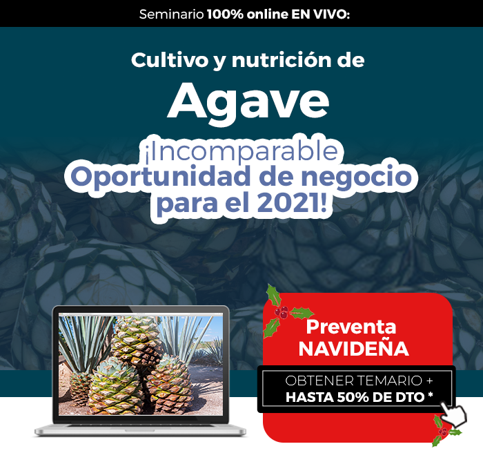 Cultivo y nutrición de Agave