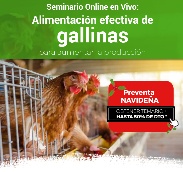 Alimentación Efectiva de Gallinas