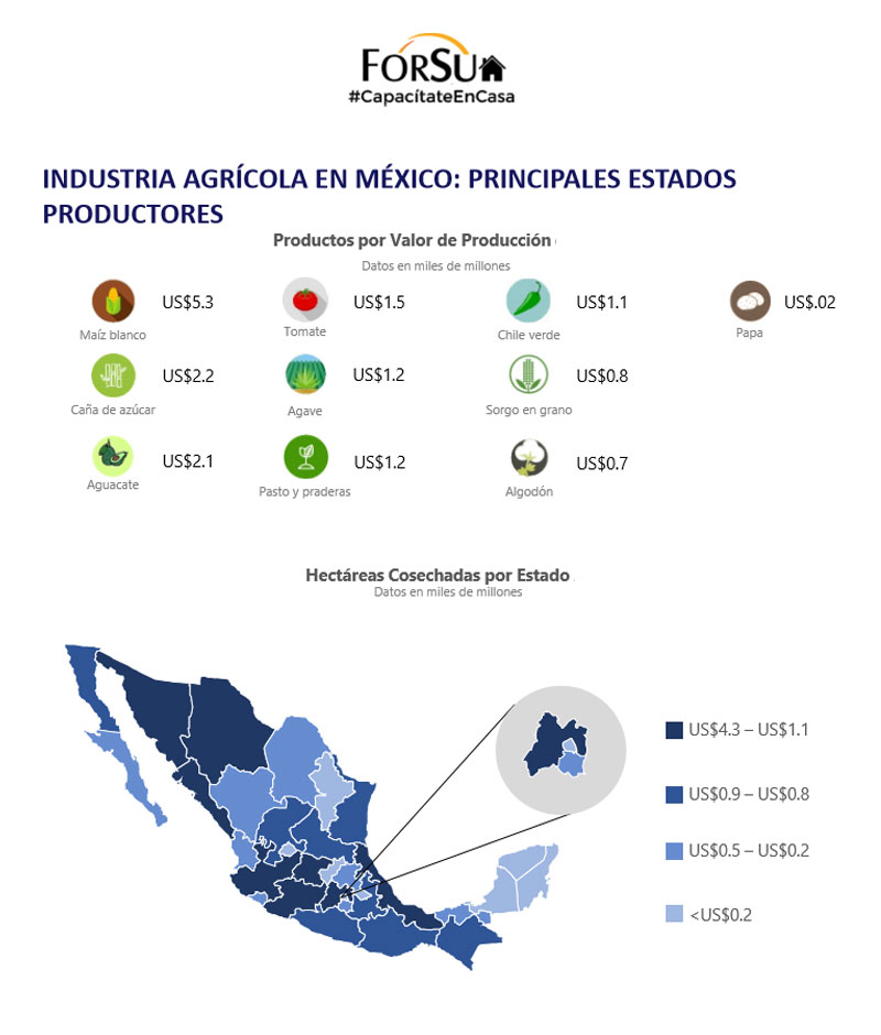 Agricultura-en-mexico